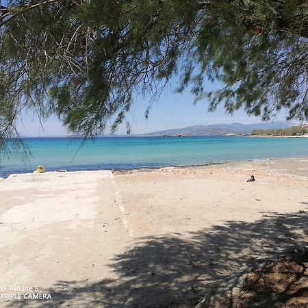 Beach N Fun Bbq Fireplace Saronida Rum bild